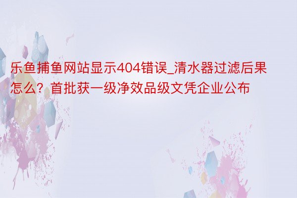 乐鱼捕鱼网站显示404错误_清水器过滤后果怎么？首批获一级净效品级文凭企业公布