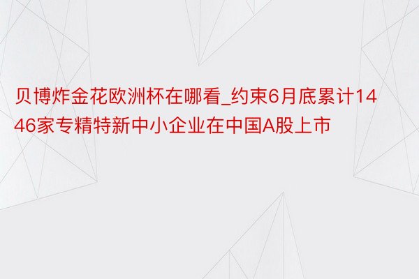 贝博炸金花欧洲杯在哪看_约束6月底累计1446家专精特新中小企业在中国A股上市