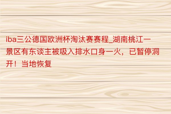 iba三公德国欧洲杯淘汰赛赛程_湖南桃江一景区有东谈主被吸入排水口身一火，已暂停洞开！当地恢复