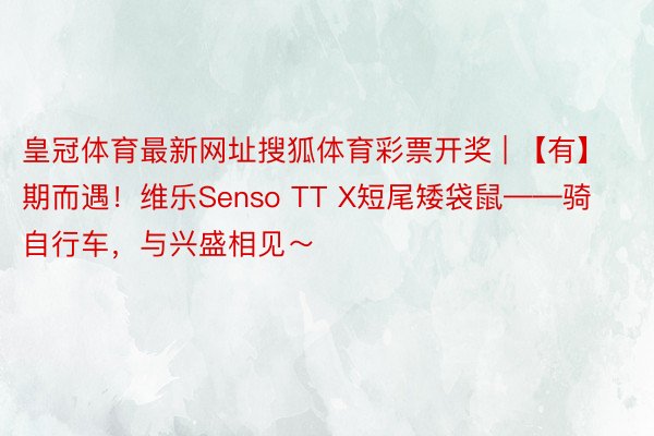 皇冠体育最新网址搜狐体育彩票开奖 | 【有】期而遇！维乐Senso TT X短尾矮袋鼠——骑自行车，与兴盛相见～