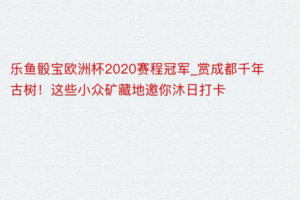 乐鱼骰宝欧洲杯2020赛程冠军_赏成都千年古树！这些小众矿藏地邀你沐日打卡