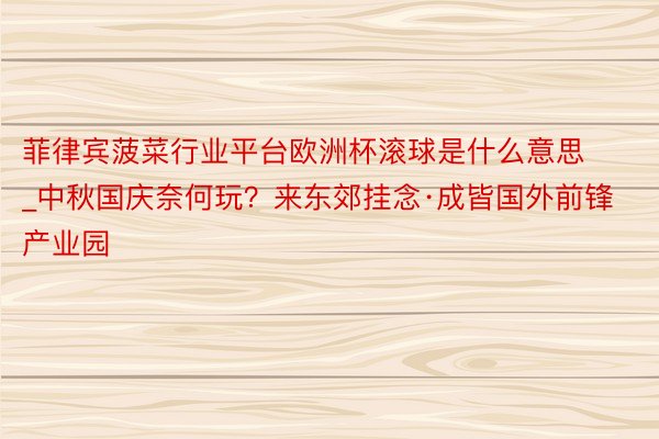 菲律宾菠菜行业平台欧洲杯滚球是什么意思_中秋国庆奈何玩？来东郊挂念·成皆国外前锋产业园