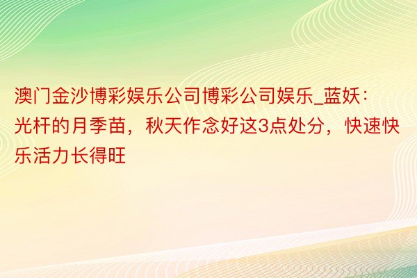 澳门金沙博彩娱乐公司博彩公司娱乐_蓝妖：光杆的月季苗，秋天作念好这3点处分，快速快乐活力长得旺